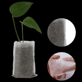 Augshy seedling bags breathable material supports soil aeration and drainage.