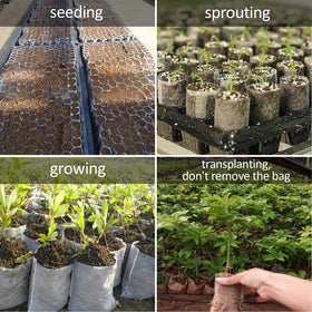 Augshy seedling bags suited for fruits, vegetables, and flowers in any garden.