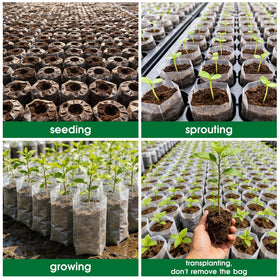 Augshy seedling growth bags designed for steady plant development