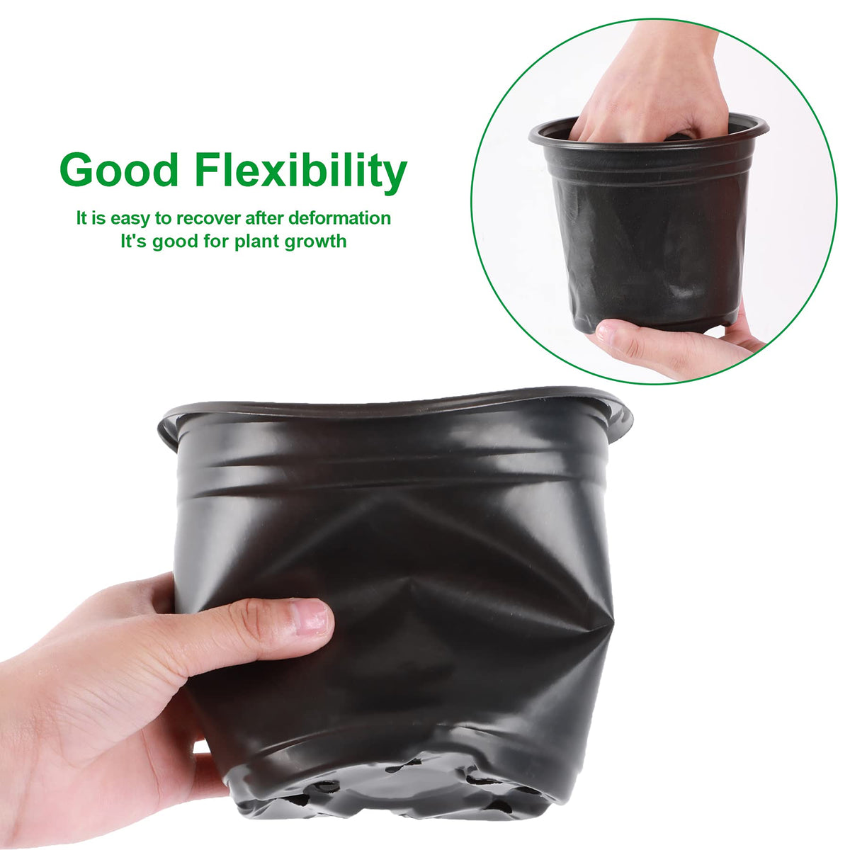 Augshy succulent propagation pots support easy transplanting and moisture control.