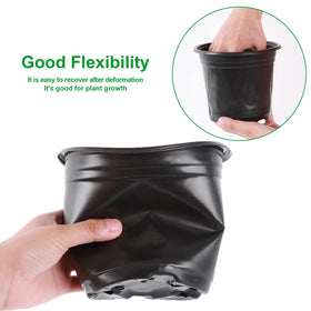 Augshy succulent propagation pots support easy transplanting and moisture control.