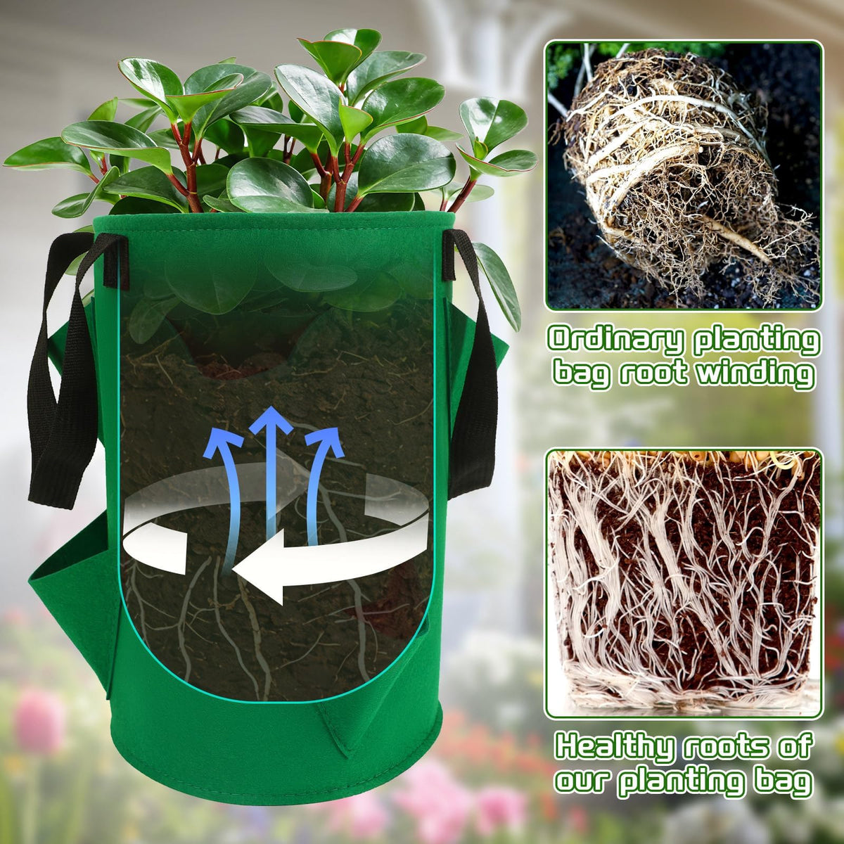 Augshy tomato hanging planter setup designed for patios and balconies.