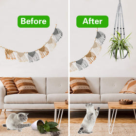 Natural cotton fibers deliver lightweight, durable plant display by Augshy.