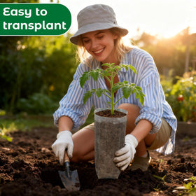 Augshy urban garden and greenhouse compatible grow bags