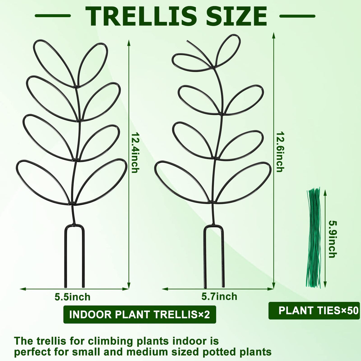 AUGSUN 12-inch indoor trellis provides sturdy plant support for vines.