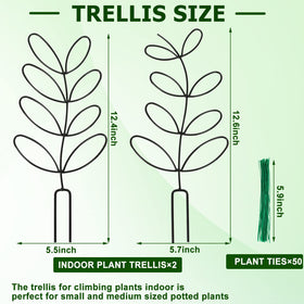 AUGSUN 12-inch indoor trellis provides sturdy plant support for vines.