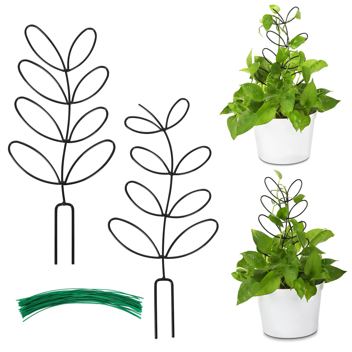 AUGSUN leaf-shaped trellis supports climbing houseplants with decorative appeal.