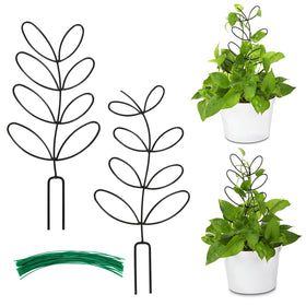 AUGSUN leaf-shaped trellis supports climbing houseplants with decorative appeal.