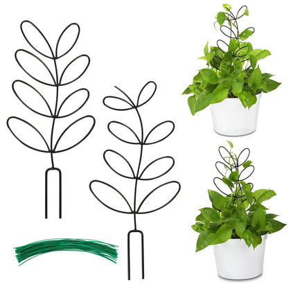 AUGSUN leaf-shaped trellis supports climbing houseplants with decorative appeal.