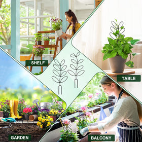 AUGSUN decorative leaf trellis enhances balcony or windowsill gardens.