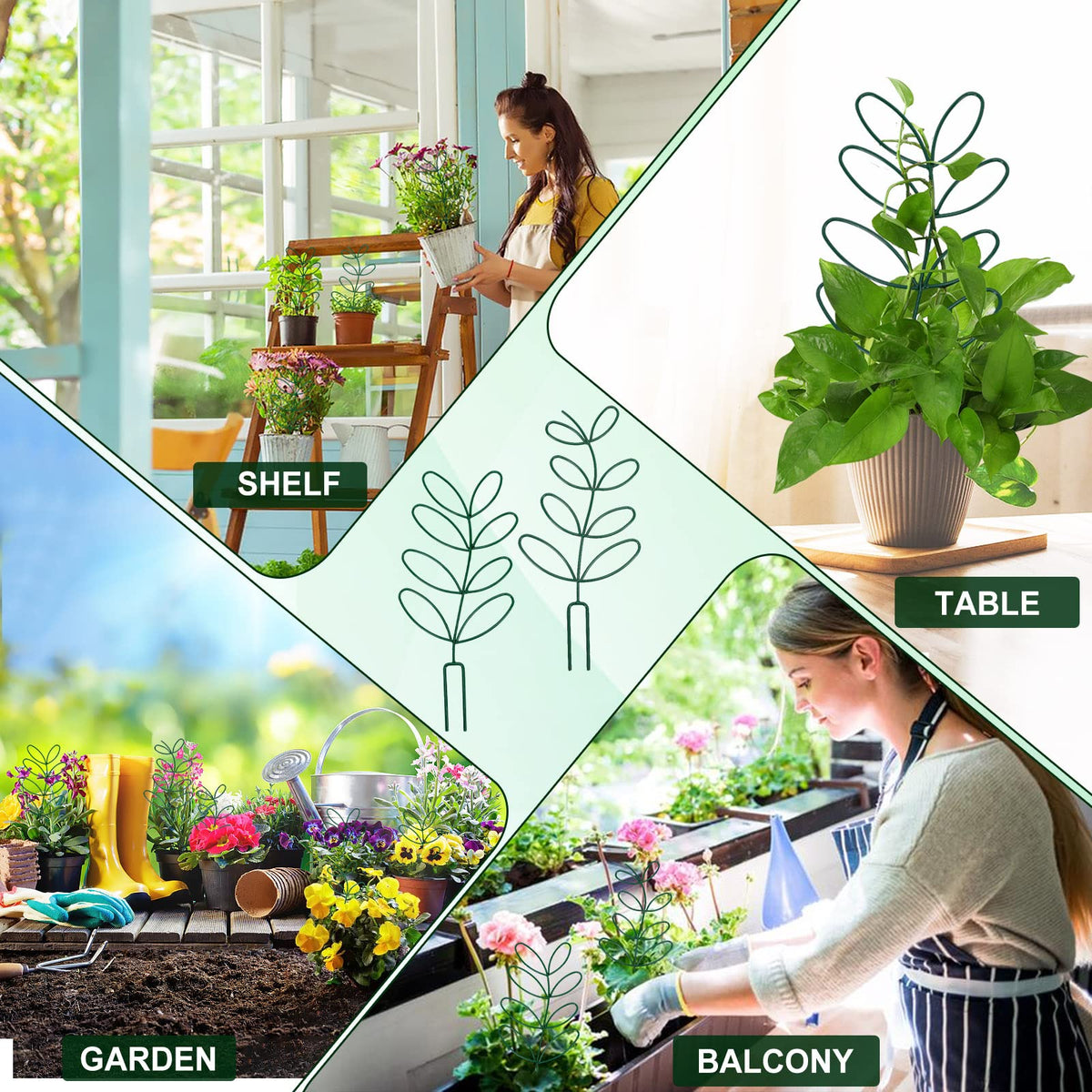 AUGSUN gift pack for plant lovers makes gardening gifts easy.