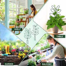 AUGSUN gift pack for plant lovers makes gardening gifts easy.