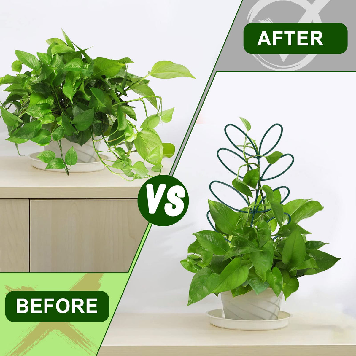 AUGSUN leaf trellis in pot enhances plant display while supporting growth.
