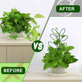 AUGSUN leaf trellis in pot enhances plant display while supporting growth.