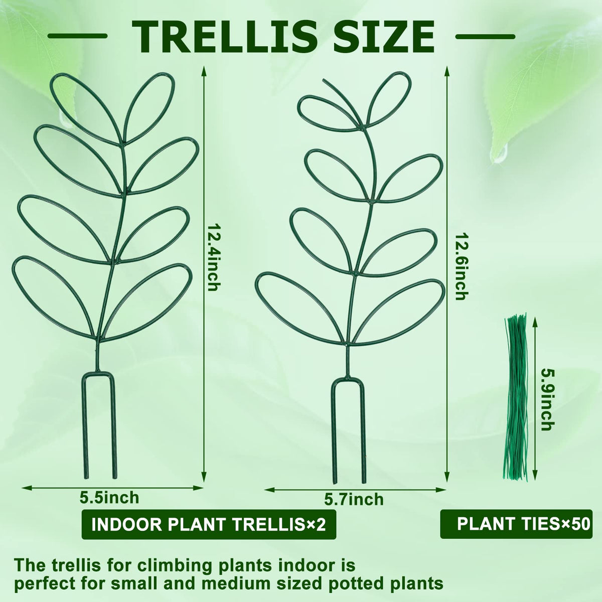 AUGSUN 50-count plant ties bundle secures stems safely.