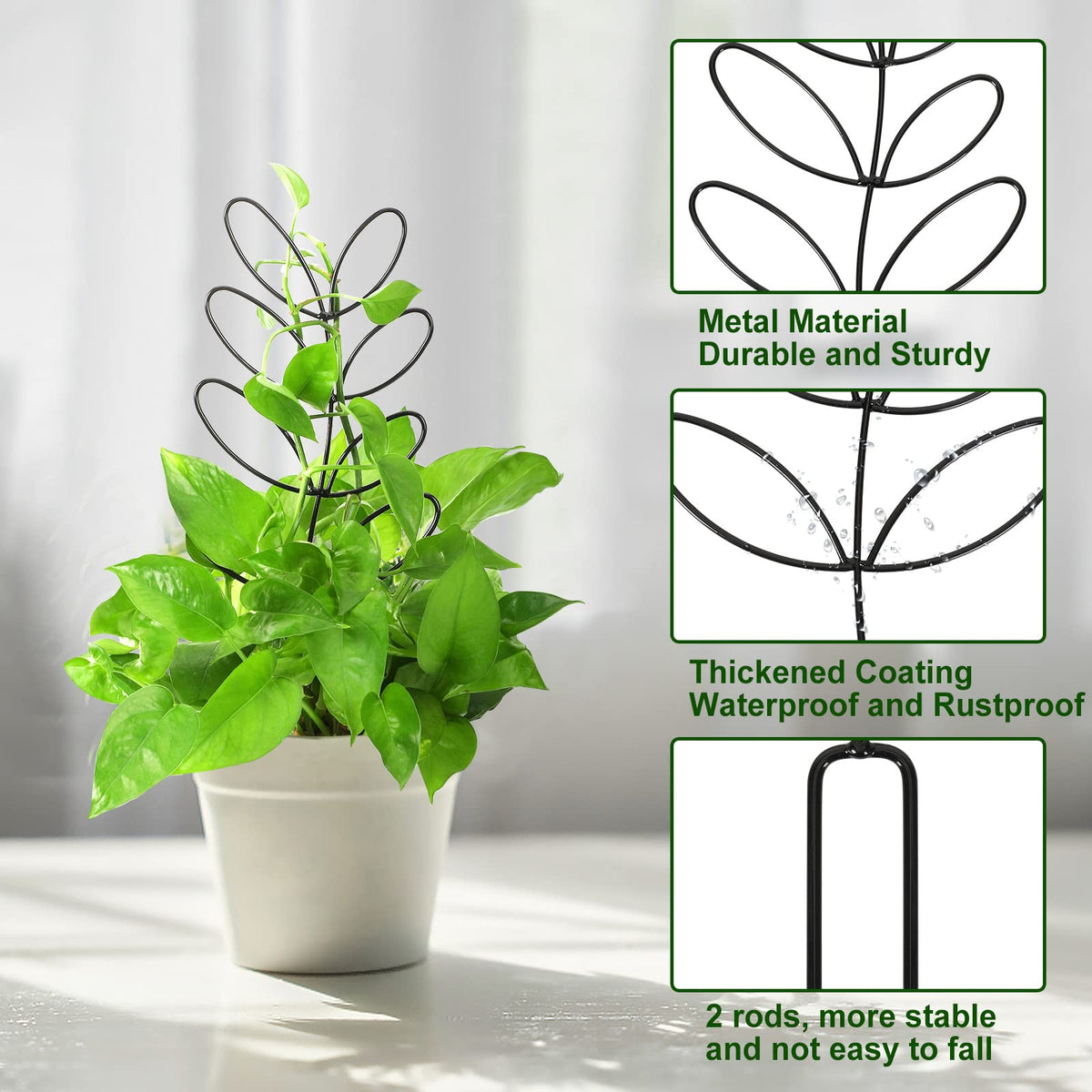 AUGSUN 50 ties secure stems without damaging delicate growth.