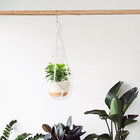 Aukorin ivory macrame hanger shows off your pot and plant while saving space