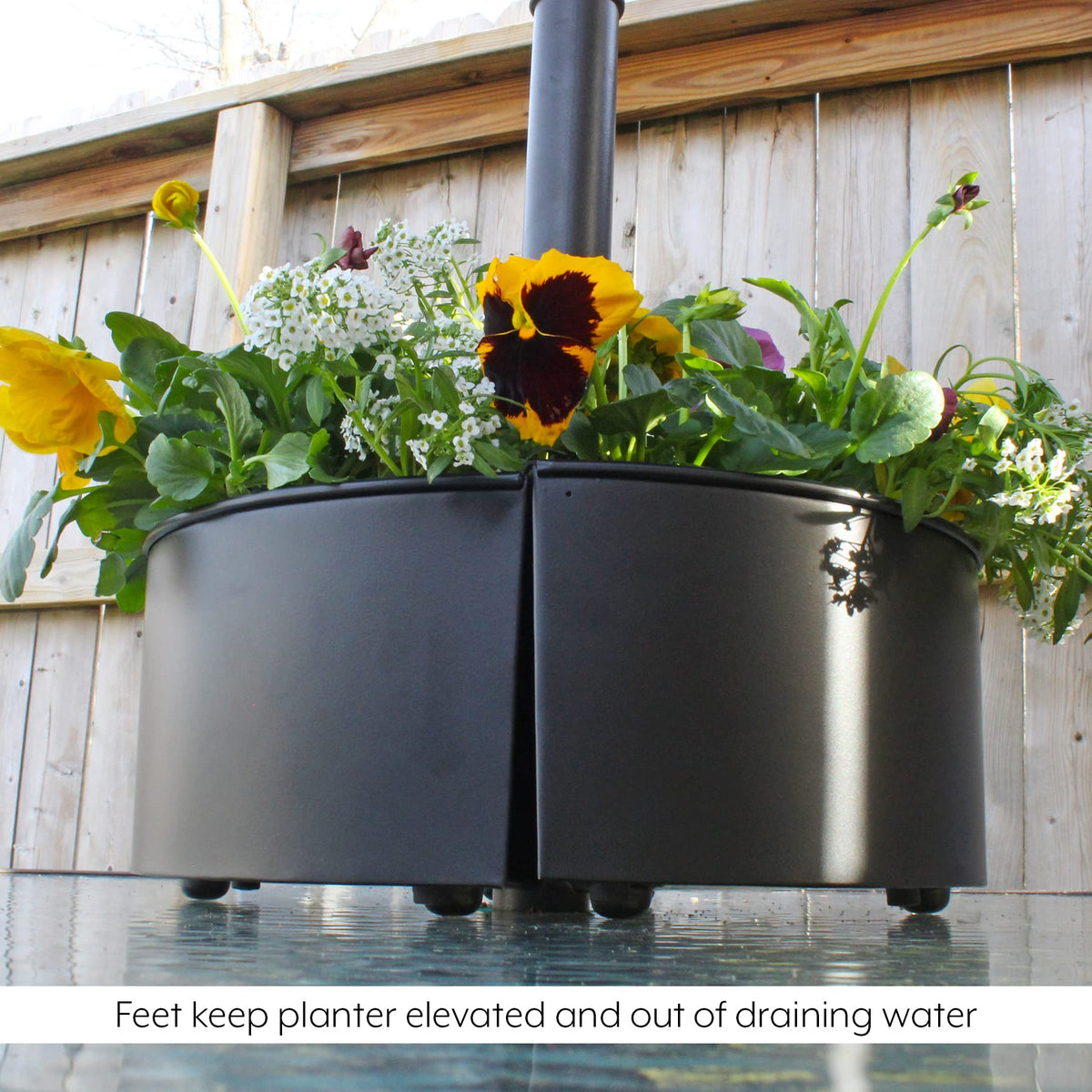 AuldHome Design flowers and succulents planter pot for patio vibes