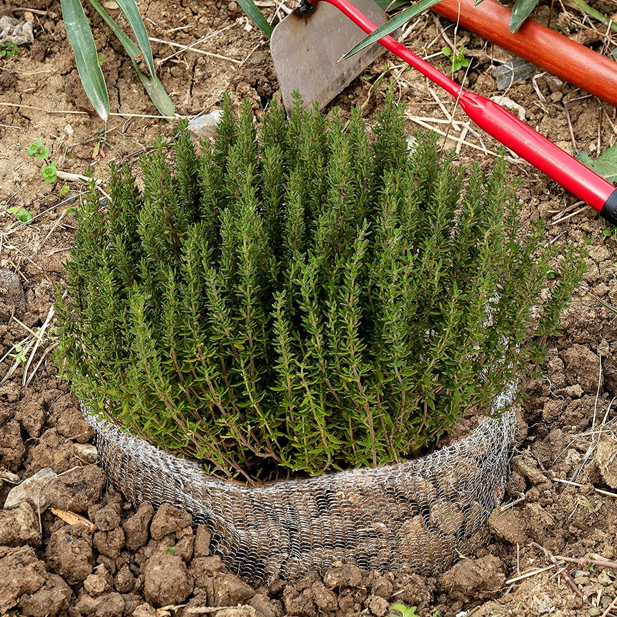 Durable stainless steel construction resists wear across seasons.