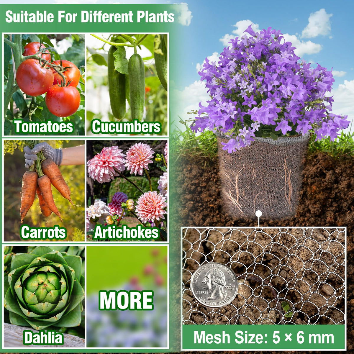 Eight-pack packaging shown for multiple pots or gifts.