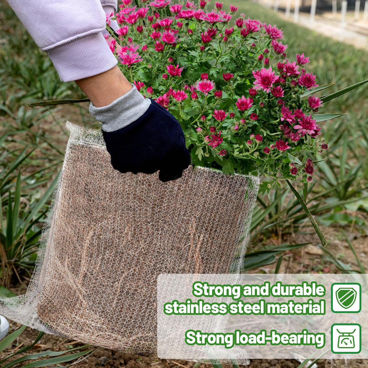 Stainless steel guard basket features a bottom ring for stability.