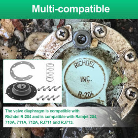 Aulpq diaphragm kit for 205TF, easy swap minimizes downtime