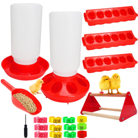 Aumsica 14-Pcs Chick Feeder demonstrates clean feeding for healthy chicks.