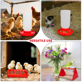 Aumsica Chick Waterer with auto outlet ensures steady hydration.