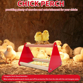 Aumsica Chick Feeder Troughs keep feed organized and reduce waste.