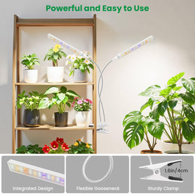 Aumtrly five-dimming levels allow custom light intensity.