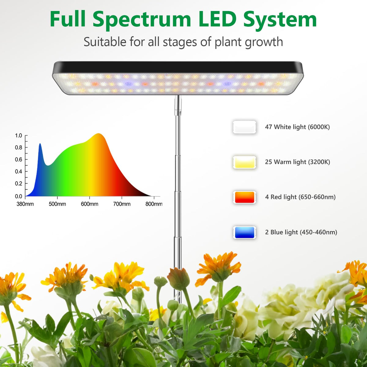 Aumtrly Grow Light's 5-inch metal base delivers stable desktop support.