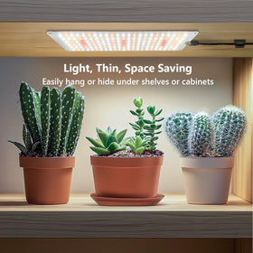 Aumtrly full-spectrum light supports germination, growth, and flowering.