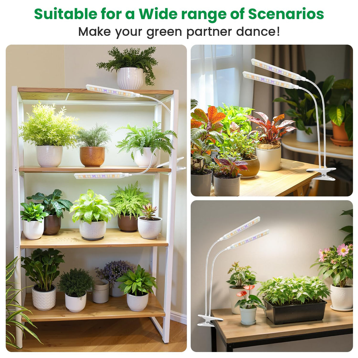 Aumtrly three spectral modes support different growth stages.