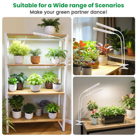 Aumtrly three spectral modes support different growth stages.