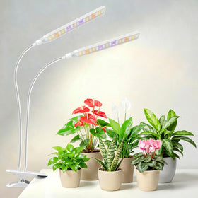 Aumtrly two-head clip grow light illuminates multiple plants efficiently.