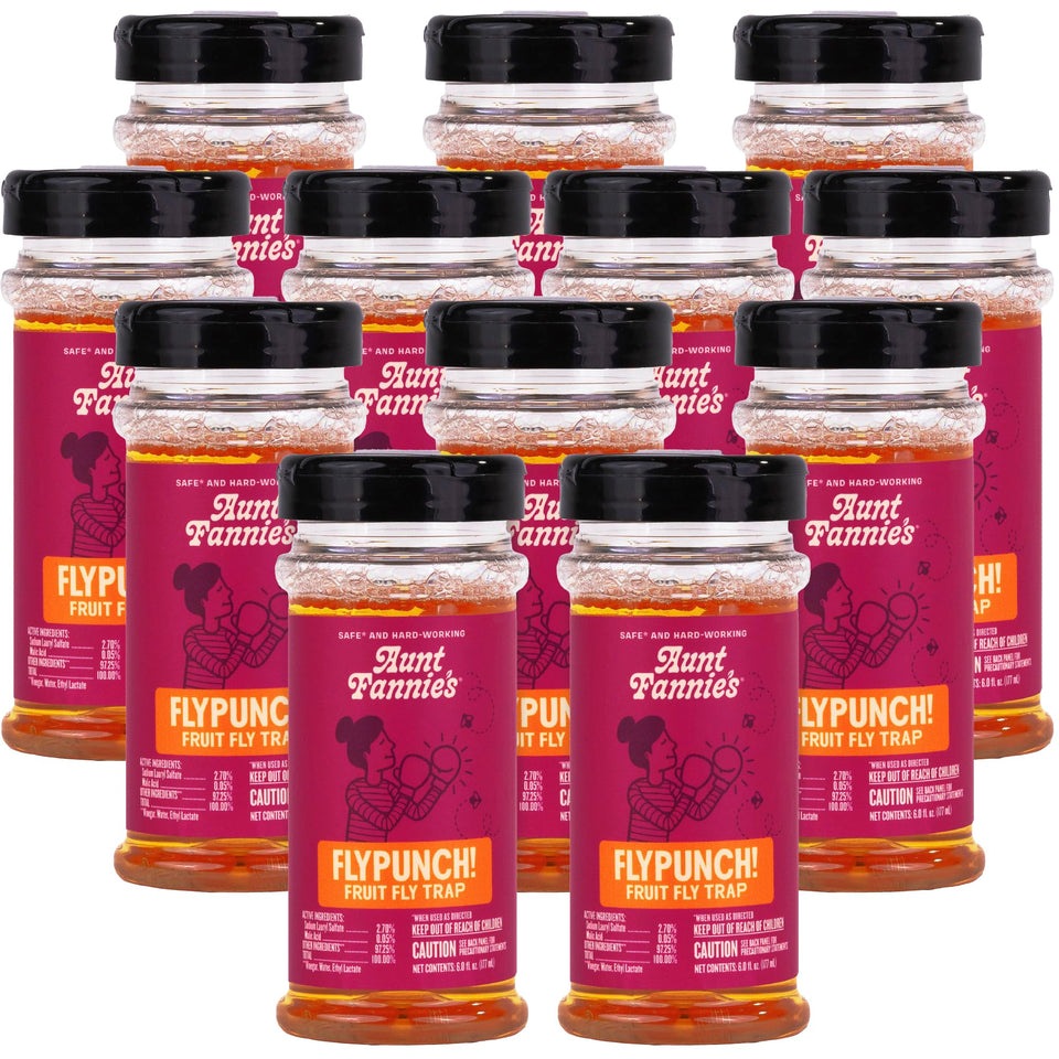 Aunt Fannie's FlyPunch bottle on kitchen counter ready to attract fruit flies.