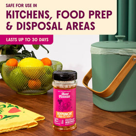 Pack of 12 FlyPunch traps arranged on kitchen shelf.