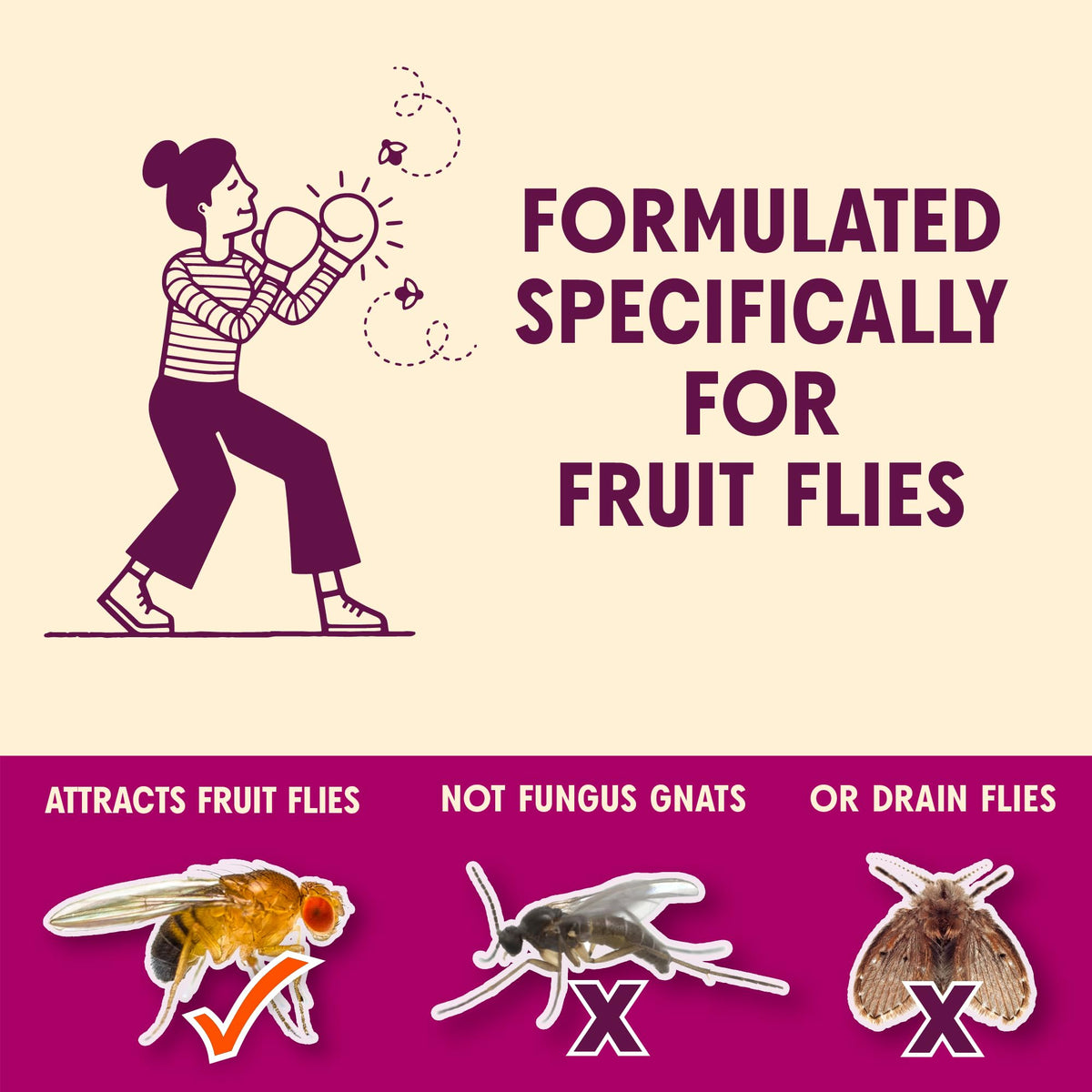 Aunt Fannie's FlyPunch uses plant-based ingredients safe for food prep areas.