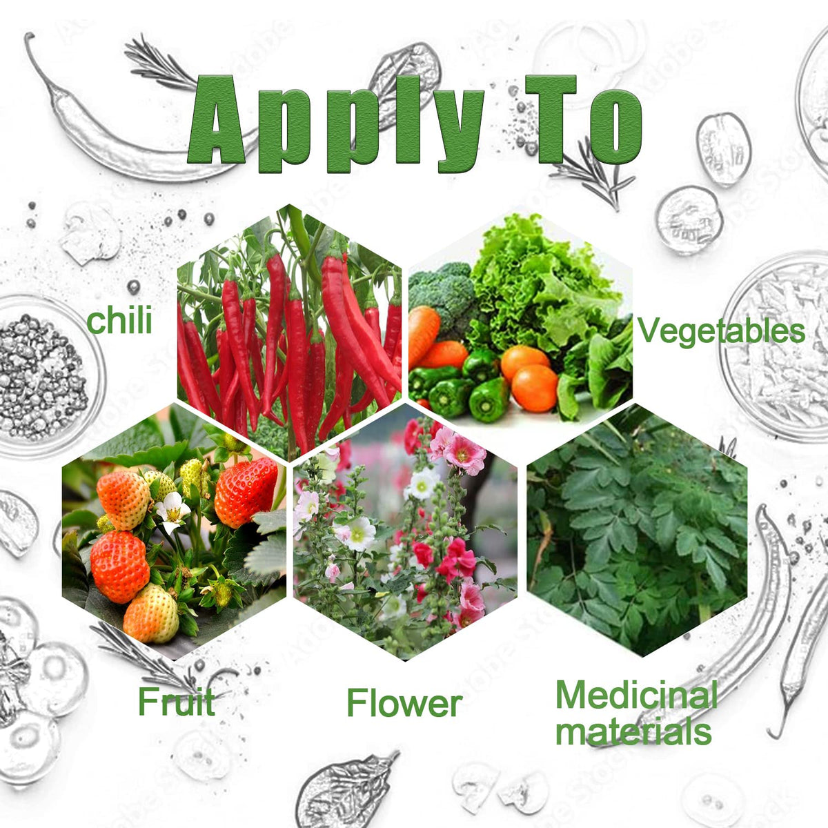 Auroal 30x30x20 cm compartments for easy plant separation.