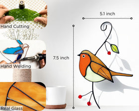 AuroAura outdoor-friendly robin suncatcher brightening doors and windows