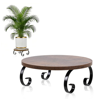 Aurolaimi plant stand with heavy frame provides durable indoor-outdoor support