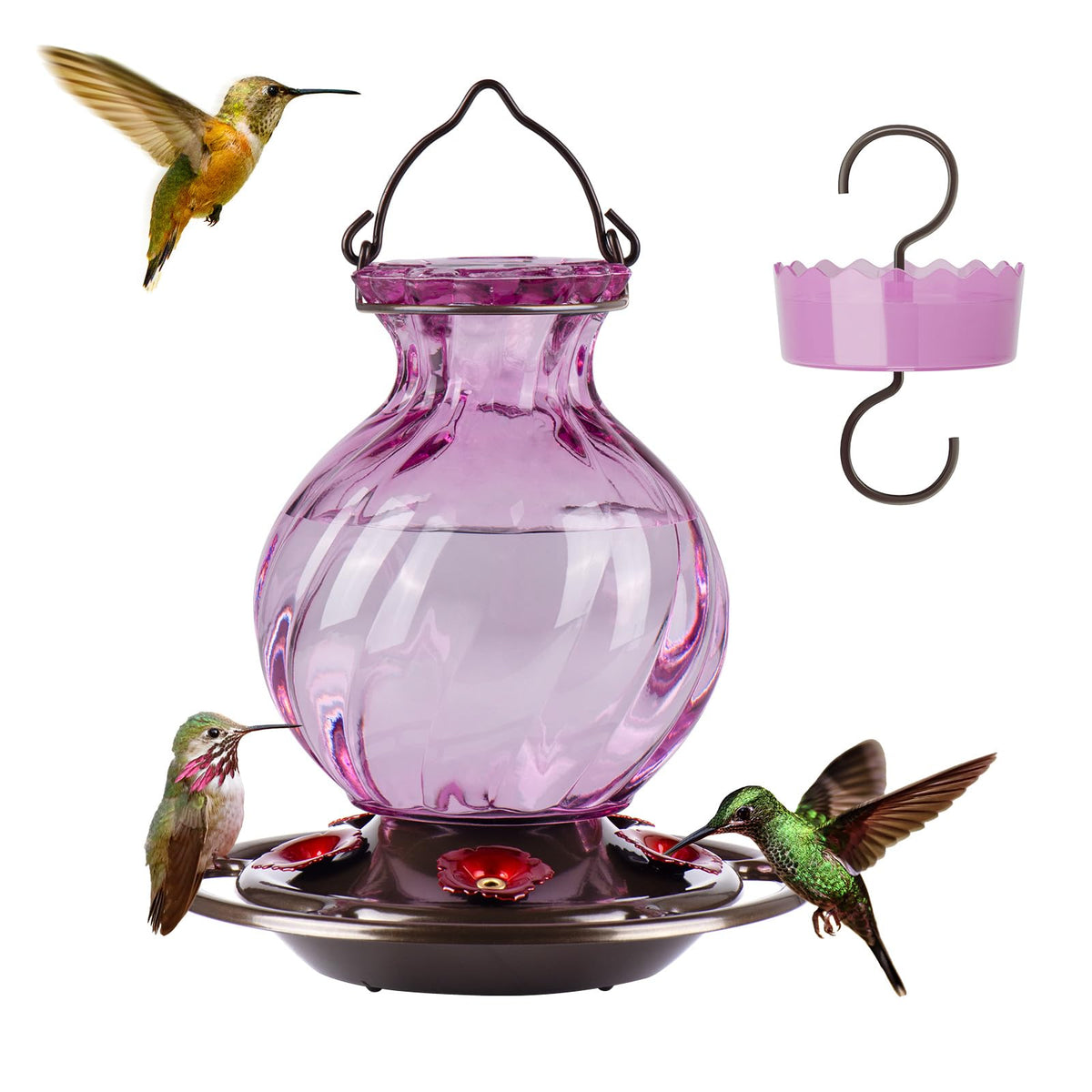 Auslar 26 oz hummingbird feeder with purple bottle for outdoor gardens.