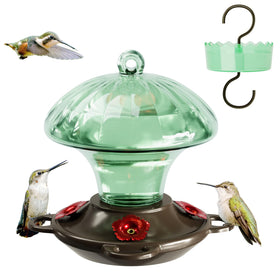 Auslar green glass hummingbird feeder bottle for easy nectar monitoring outdoors.