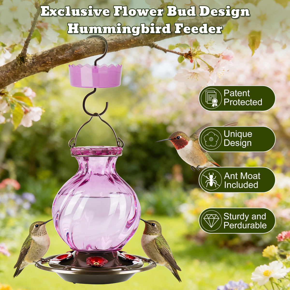 Auslar hummingbird feeder with five ports attracts curious hummingbirds.