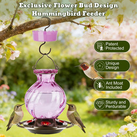 Auslar hummingbird feeder with five ports attracts curious hummingbirds.