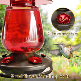 Auslar glass bottle hummingbird feeder for easy nectar monitoring