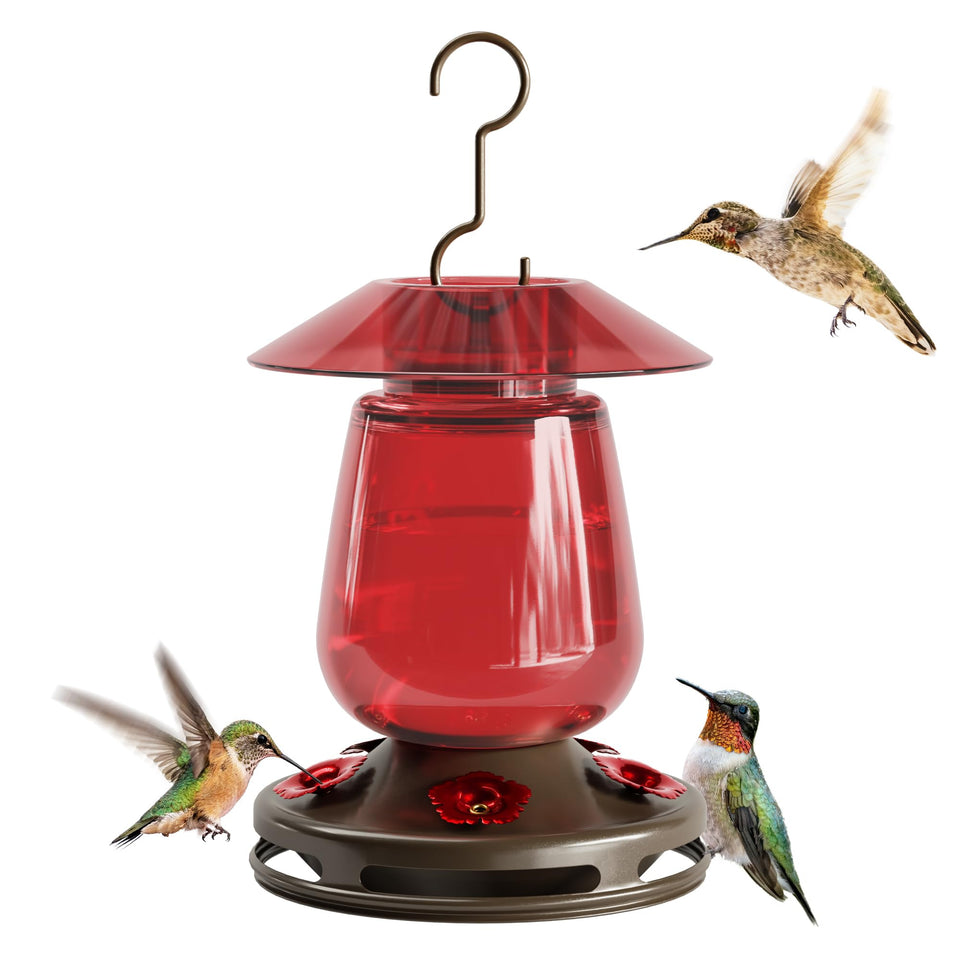 Auslar hummingbird feeder with red bottle attracts birds in your garden