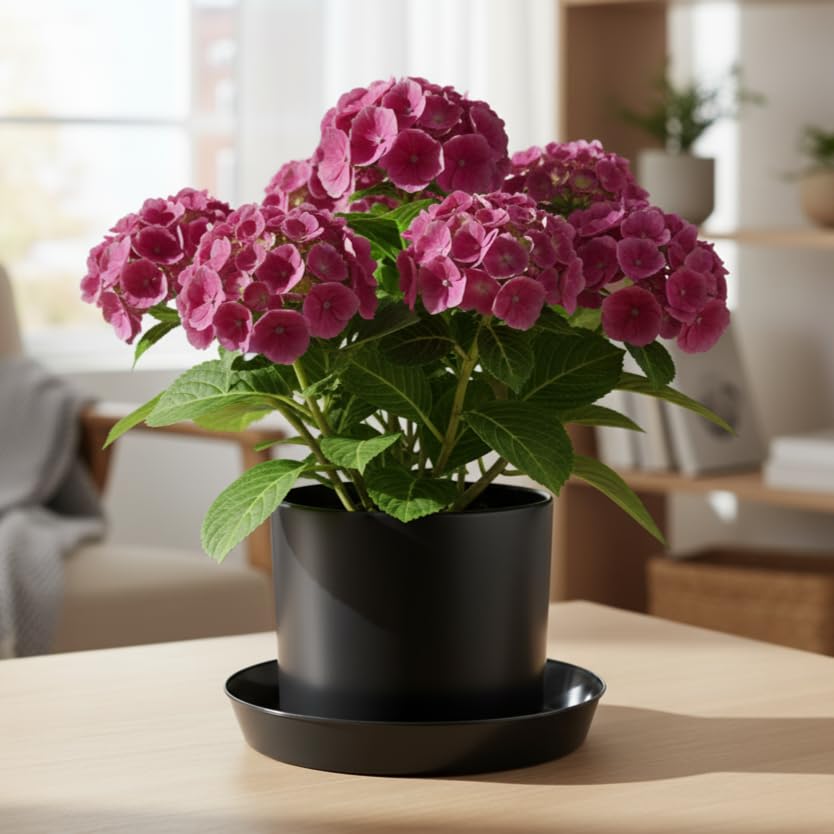 Austin Planter black polypropylene saucer close-up highlighting durability