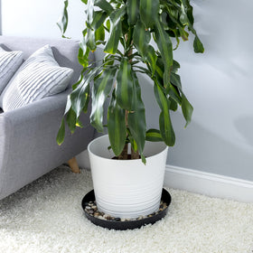 Austin Planter large sidewalls supporting plant drainage and airflow