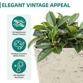 Autodaya planter drainage holes with removable plugs for moisture control